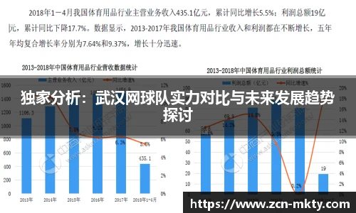 独家分析：武汉网球队实力对比与未来发展趋势探讨