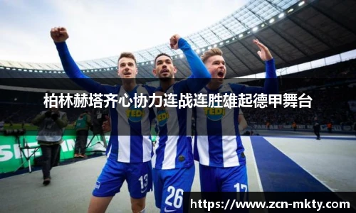 mk体育官方网站